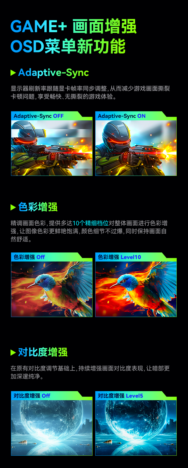 P40A2U_09.jpg